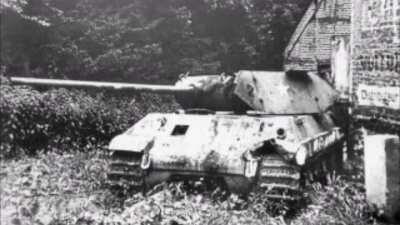 Totally not a Panther. Yep, Nothing to see here.