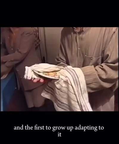 This post just time-traveled me to my best years 🧸