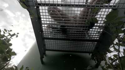 Liebst du es vollgepisst zu werden