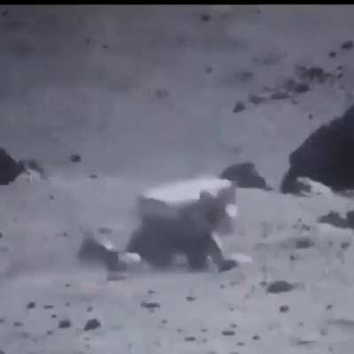 *sonidos chistosos de risa buscar*🤣🤣🤣🤣🤣🤣🤣🤣🤣