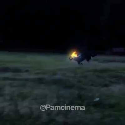 Such A Good Boy/Girl