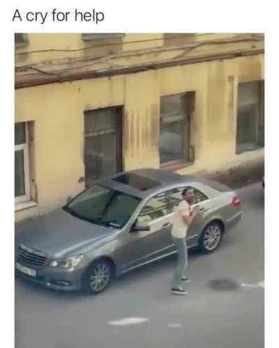 Don't mess with the bird