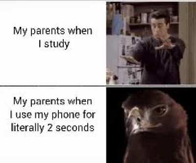 Sorry for bad quality in advance