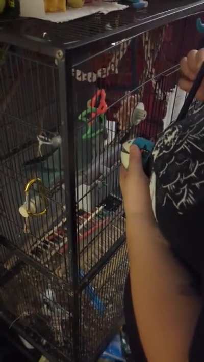 gatsby is QUITE fond of the blue robot