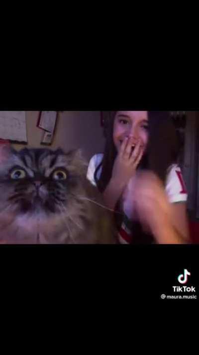 It is technically a duet