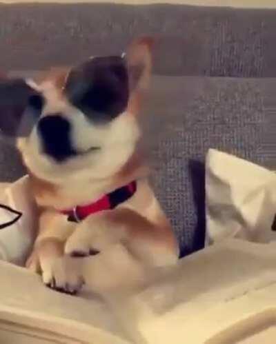 Dekh kya raha hai bhomsdikey... Isko boltey hai SWAG... :D