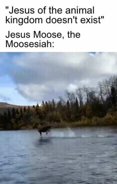 And on this day a new religion was formed