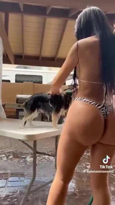 From drecma galleries 