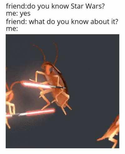 lightsabers go brrrr