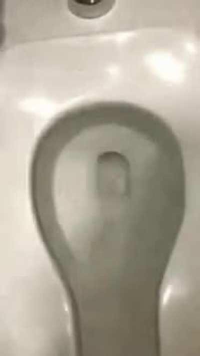 When did this shit turn into r/196. It used to be just unhinged shit, now it's just blatant porn and gay shit.