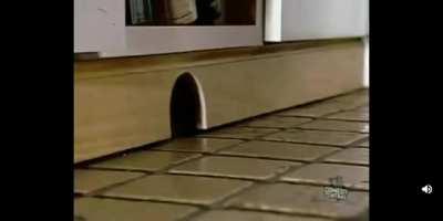 Blursed_Christianity