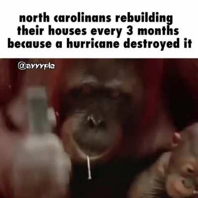 Can Any North Carolinans relate?