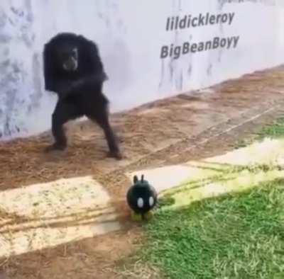 Espero que el pana esté bien.