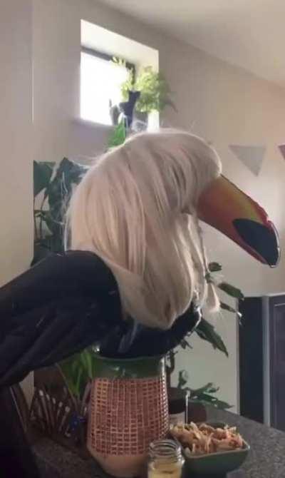 New Popstar Xayah Leak!!