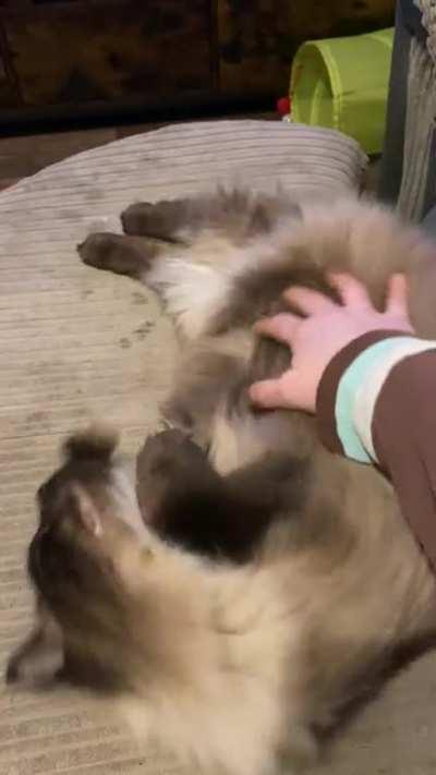 Mr Bosworth misjudged his cuddle roll