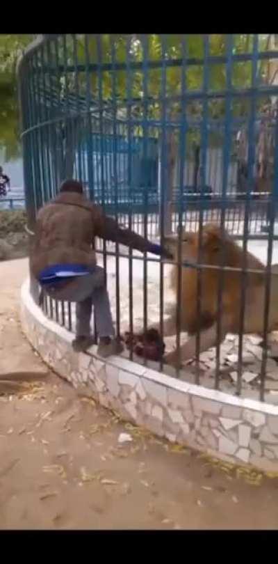 Да хули будет, поглажу только