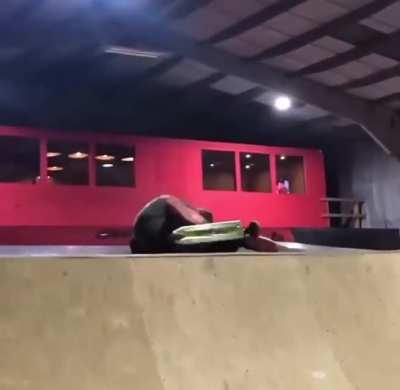 Looked like a good run at first