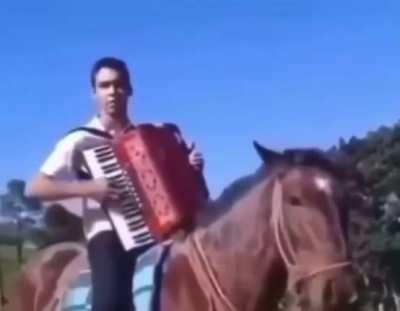 he ain't read the horse owners manual it says no accordion