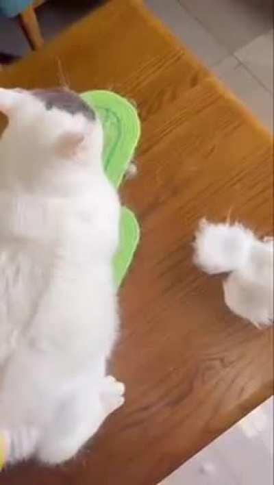 Forbidden cotton candy