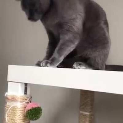 Fuck you in particular