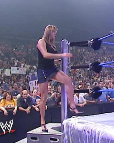 Stephanie Mcmahon, had the biggest tits in WWE