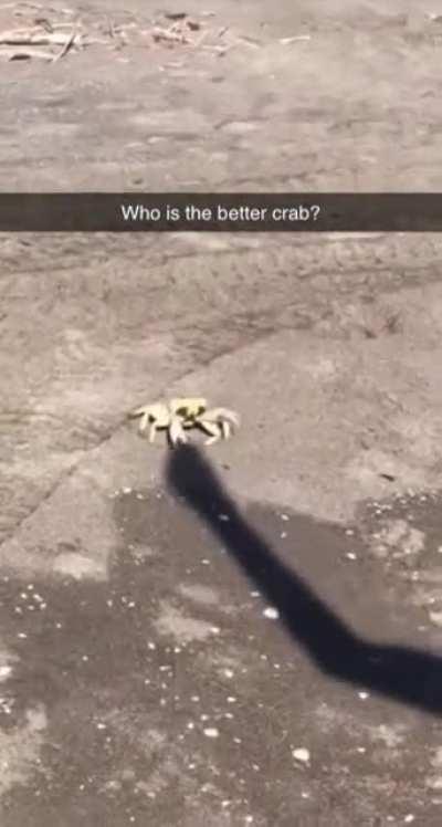 Tim - Wielder of the Shadow Claw, Lord of Pinchy