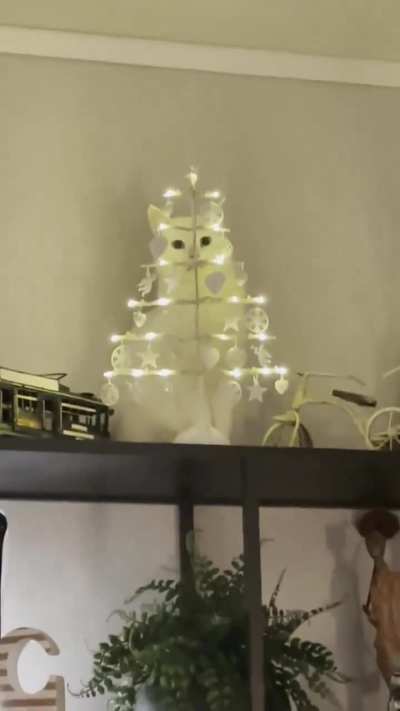 Bro thinks we can’t see him
