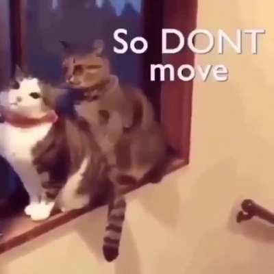 I'm just trying to love you