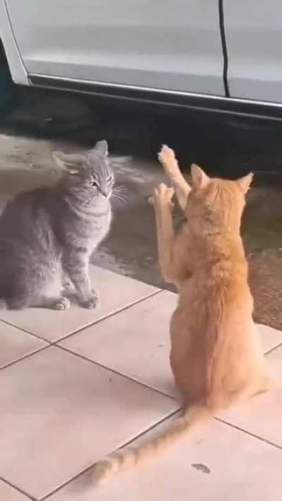 Гипнотизёр