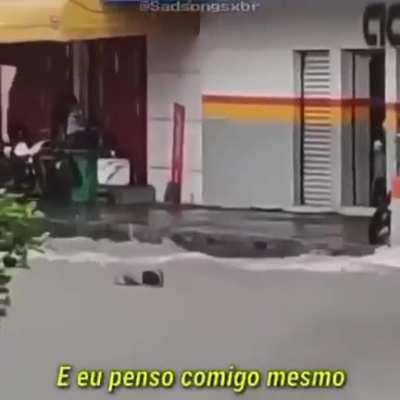 what a wonderful world