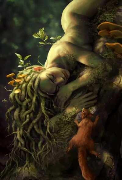 [Gwent] Hamadryad - Master Mirror Expansion (Art by Katarzyna Bekus)