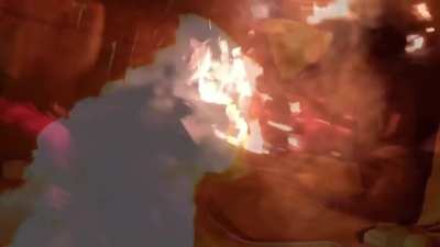 Wie Stefan 7vs Wild beschreibt