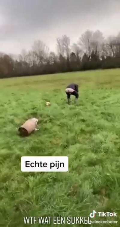 This is a Dutch tradition called “carbid schieten”