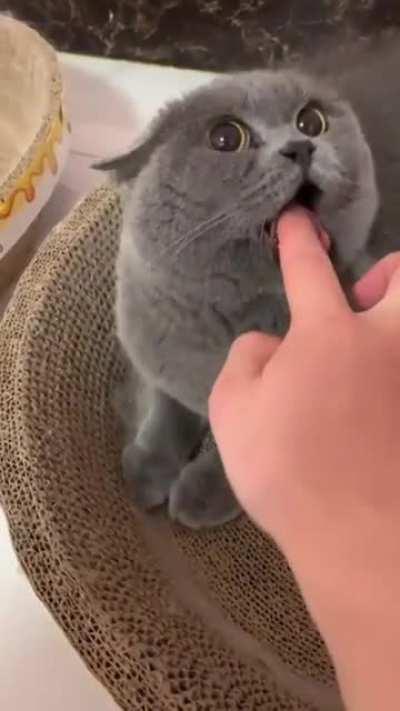 When you fall in love with a tsundere.