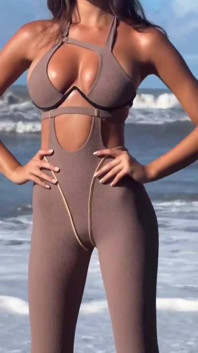 Classy brown-haired beauty in a hazelnut bodystocking on the beach • Version 2.0.