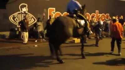 HMB while I do some community policing