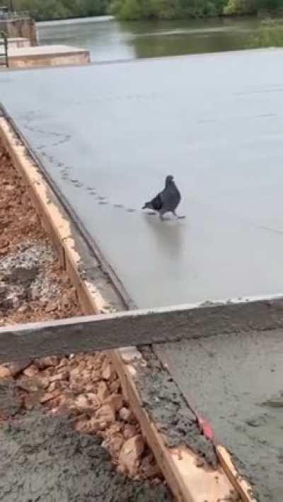 Little jerk. Not mine.