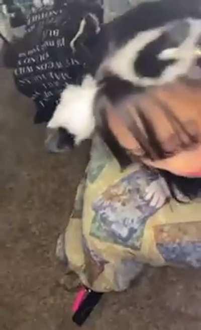 Asian maid takes bbc nut