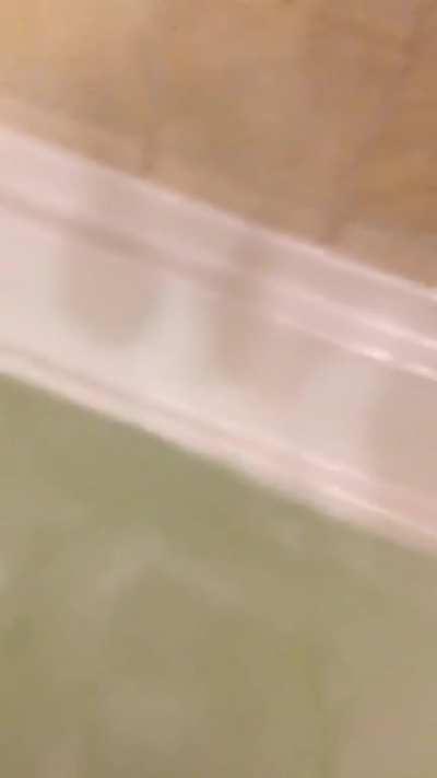 When u watching YouTube and you drop ur phone in the bathtub