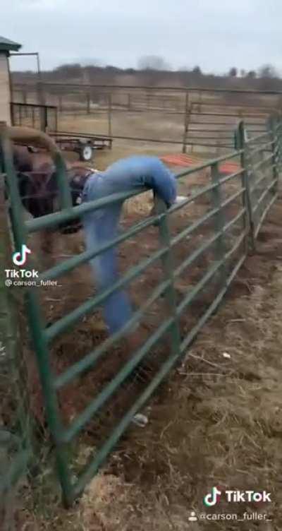 Man tries to impress friends goes horribly wrong