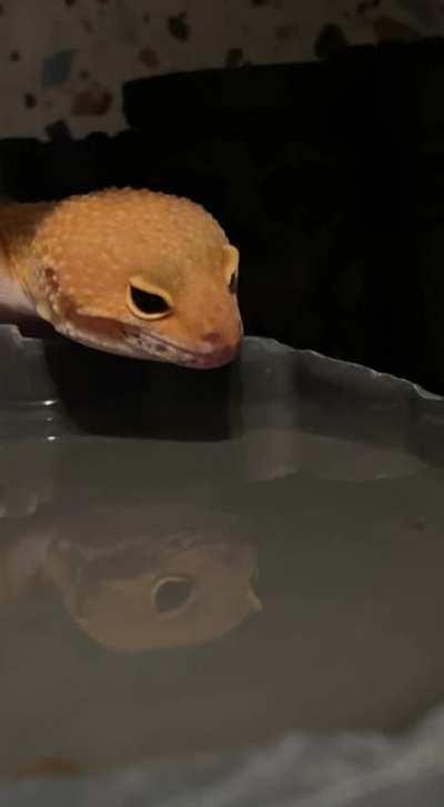 She’s 100% Getting a Good Drink of Water