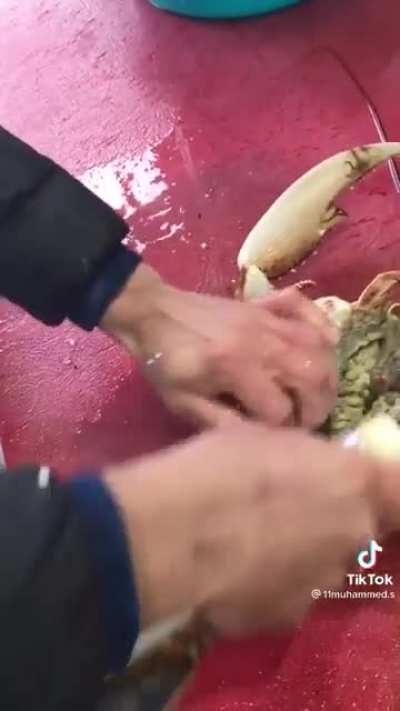 canli istakoz kesimi