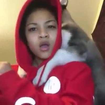 The best reverse gif I've ever seen