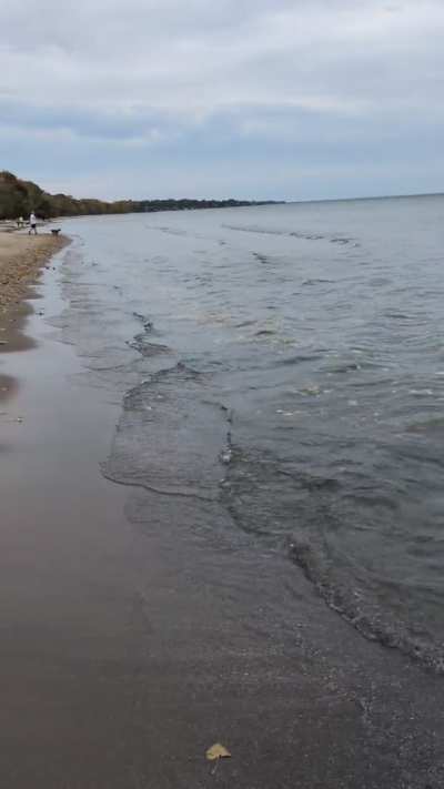 Placed my feet in Lake Ontario just before the 'Gales of November' come early.