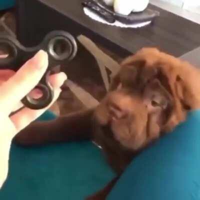 If only this clip were a little longer