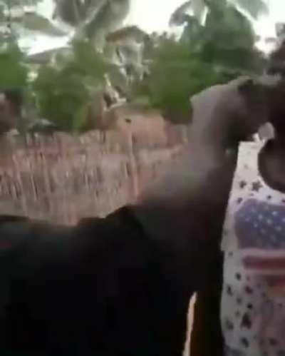 Angolanos discutindo