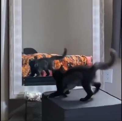 Gettin ready for the spooks