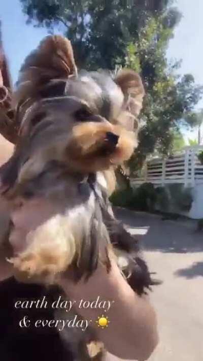 earth day with teenie