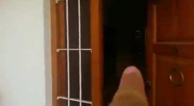 Just parking the finger.