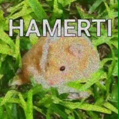HAMERT